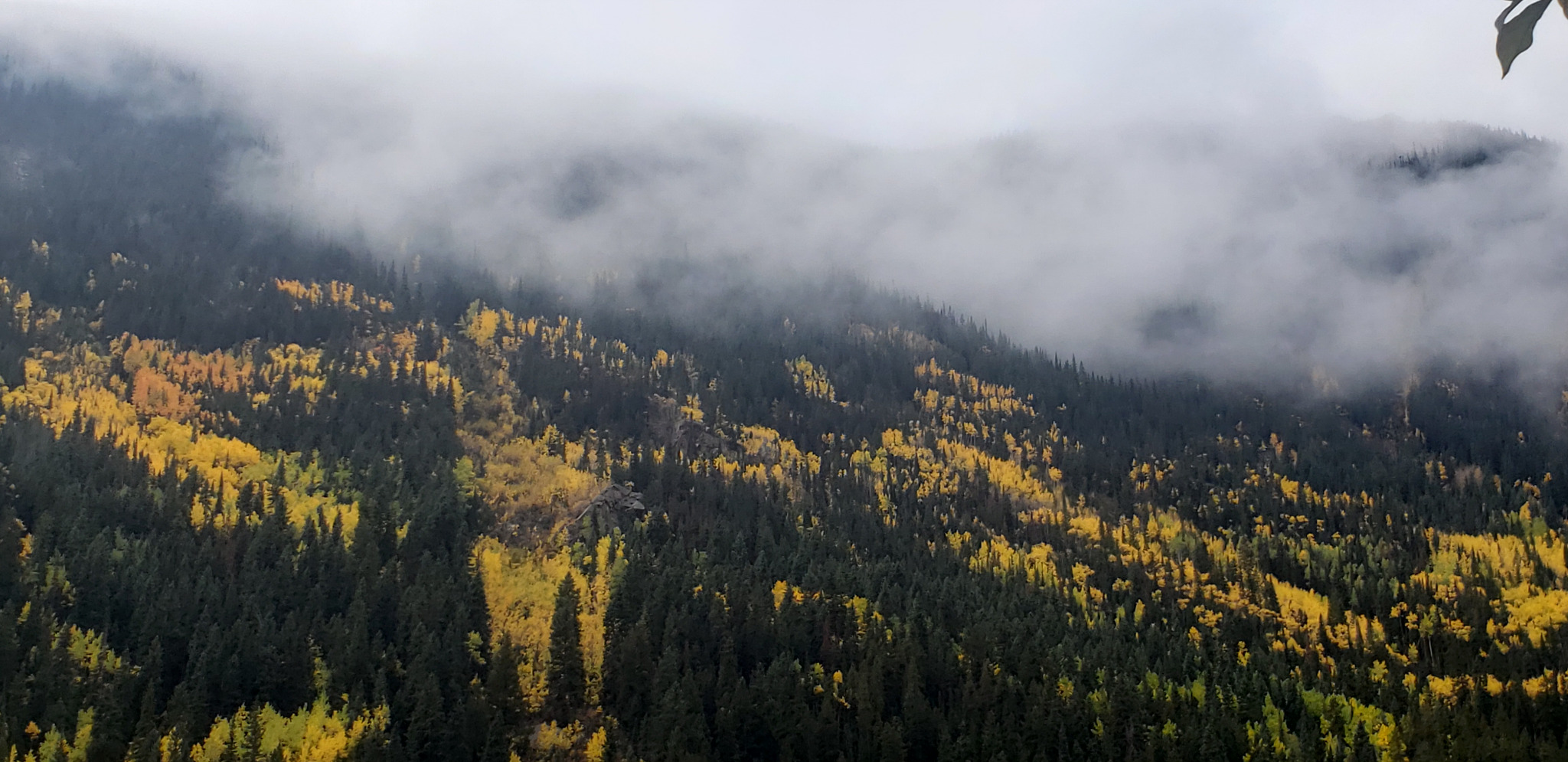 Colorado fall color scene